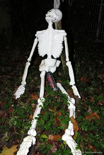 a skeleton statue is shown laying on the ground in front of a fence