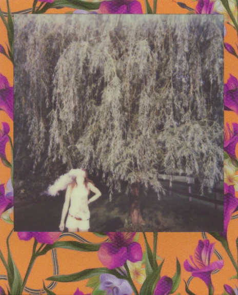the po shows an orange background with a white woman in a floral dress in front of an ornamental willow tree