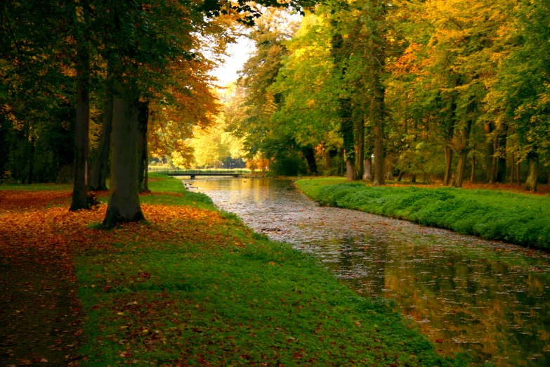 an image of the stream in the park