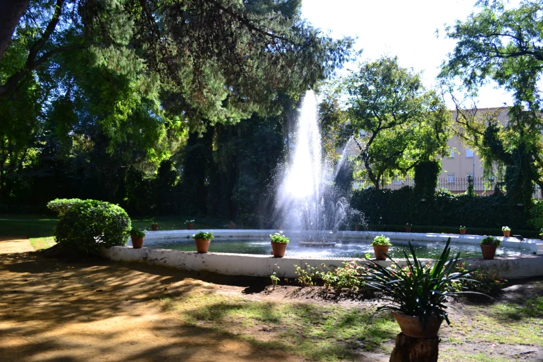 an empty park with a water fountain and greenery