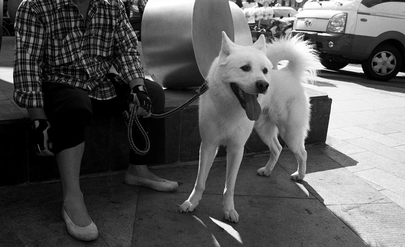 a black and white po of a woman walking her dog on a leash