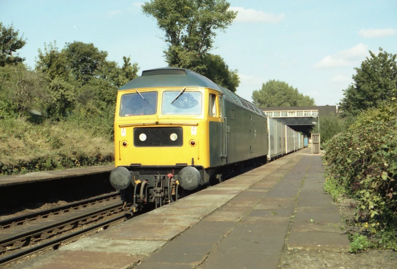 a train going through an outdoor tunnel