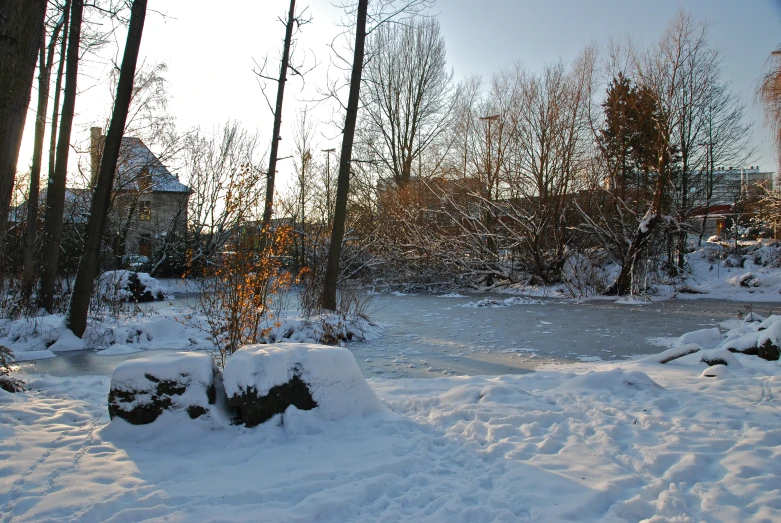 snow covers a snowy area in front of some trees