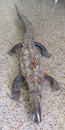 a large crocodile that is laying down on the floor