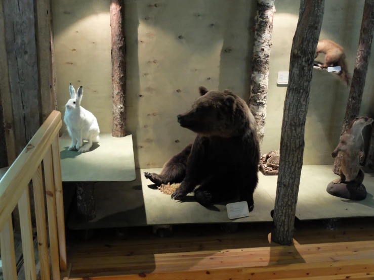 some animals are sitting on fake shelves and some trees