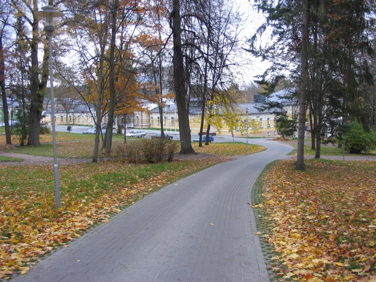 a paved pathway is lined with trees and leaves