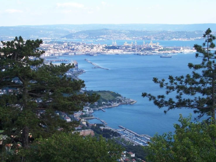 the view of a bay from atop a hill