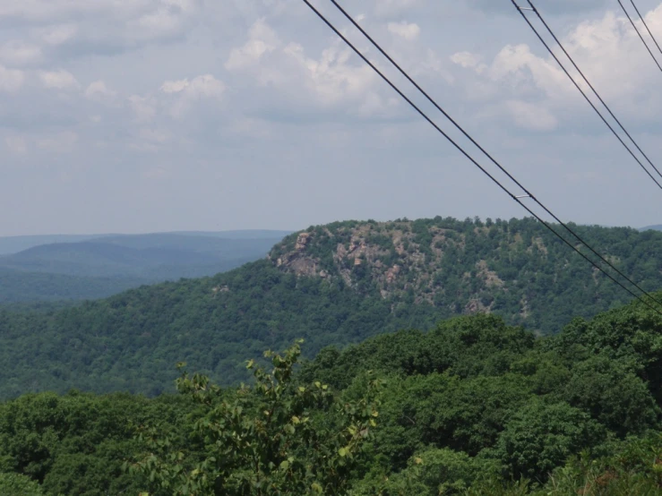 an area with trees, and mountain in the distance