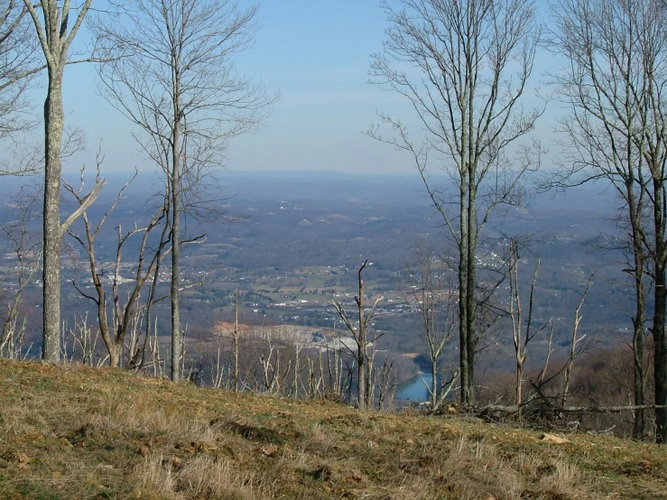 a sign is on a grassy hill with a city in the background