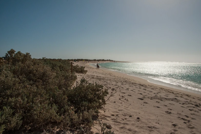 a person walking on the beach in front of the ocean