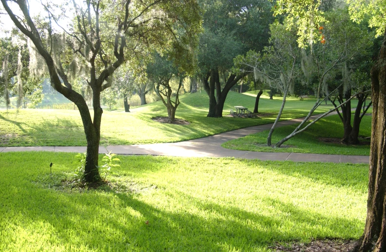 there is a bench in the middle of this park