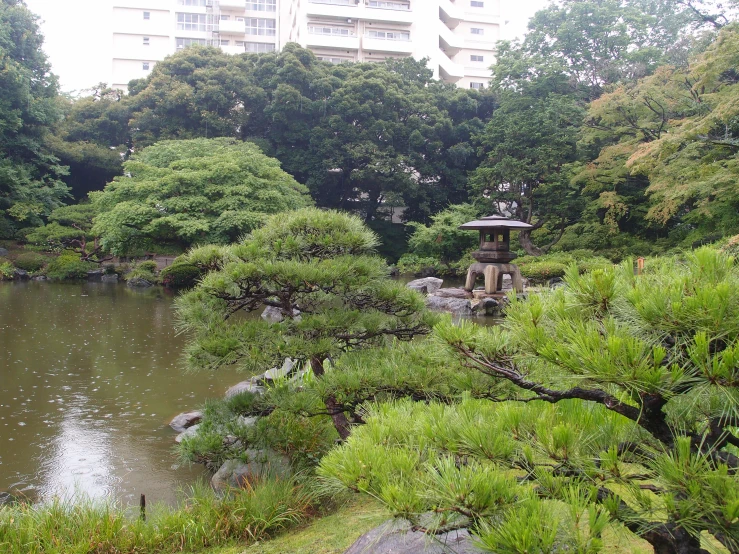 a pond surrounded by trees and rocks