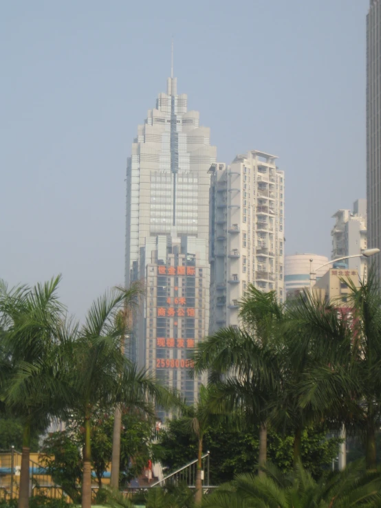 some palm trees buildings and some people in the water