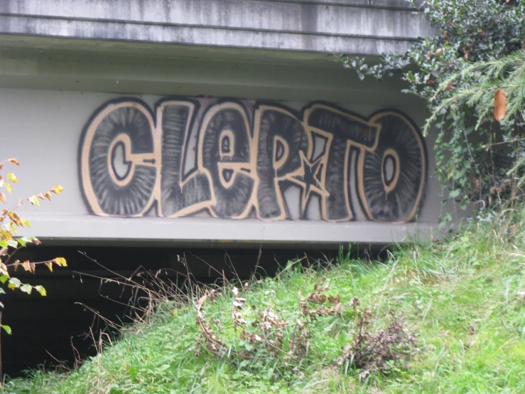 an overpass with graffiti on it near a bush