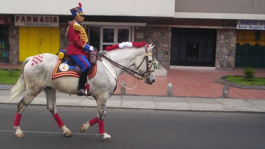 a man in red and gold is riding on a horse