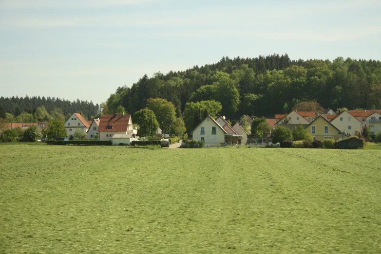 there are many houses on the field that is very green