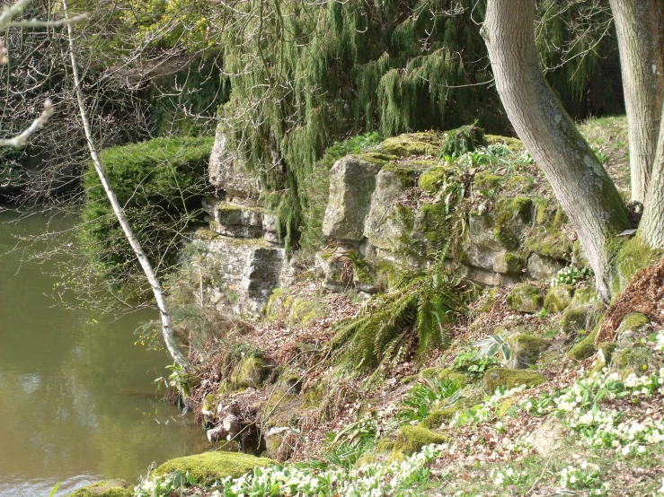 a grassy area with some rocks and some flowers on the side of it