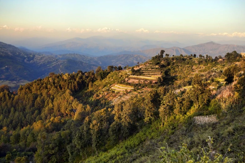 a hill that has a lot of trees on it