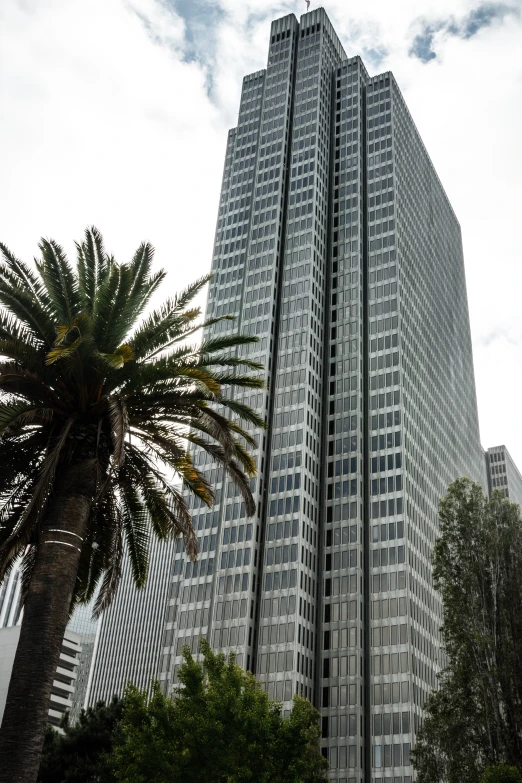 two large buildings with some trees in front