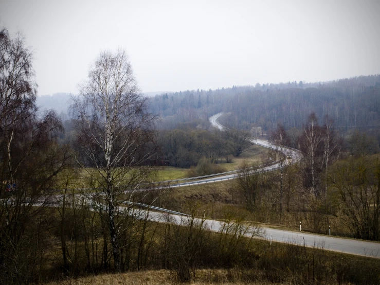 view from the overlook of a road in a forested area