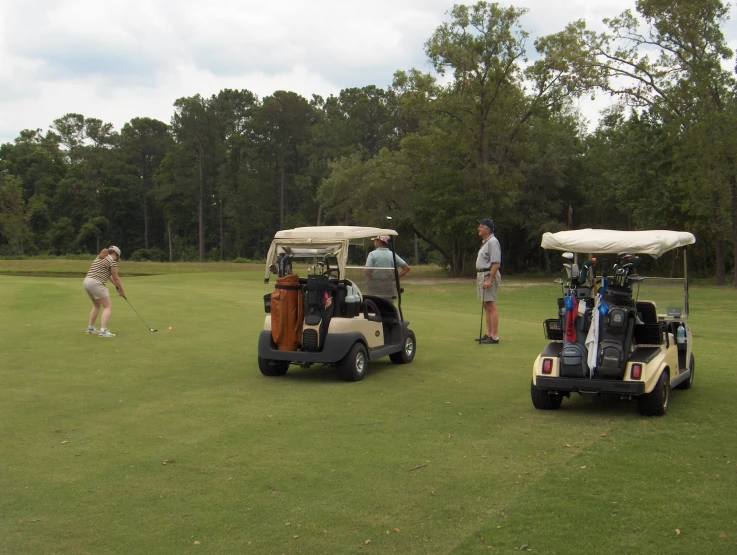 several people in golf attire and two carts with golf clubs on them