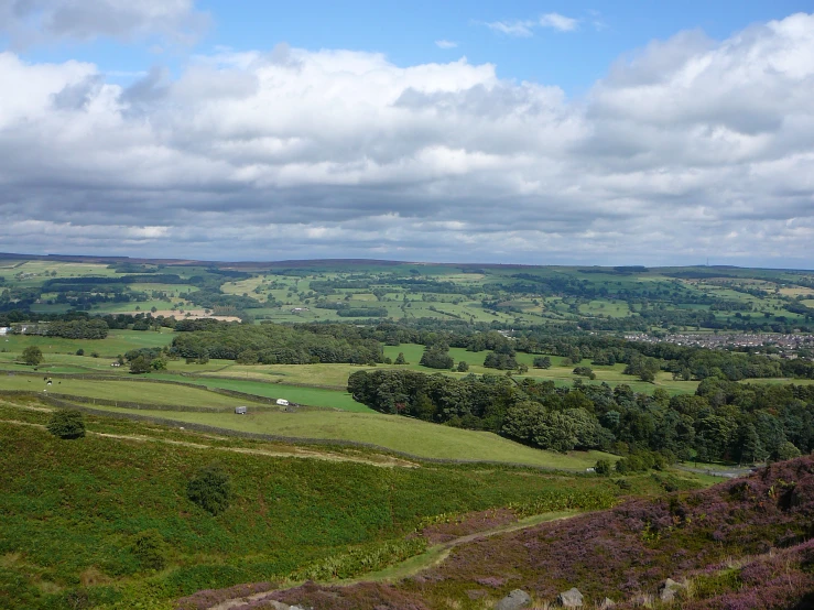 there is a view over an area of green and yellow