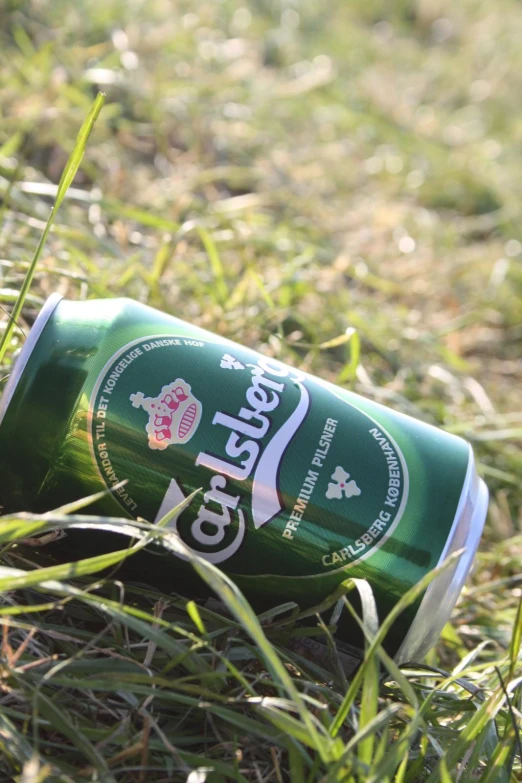 a can of beer is sitting in the grass