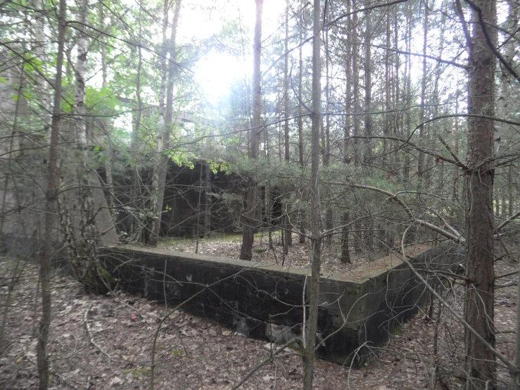 a rectangular wall in the middle of a forest