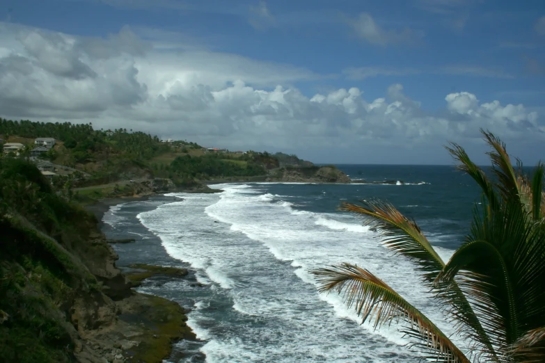 a bird is flying over the ocean with a view