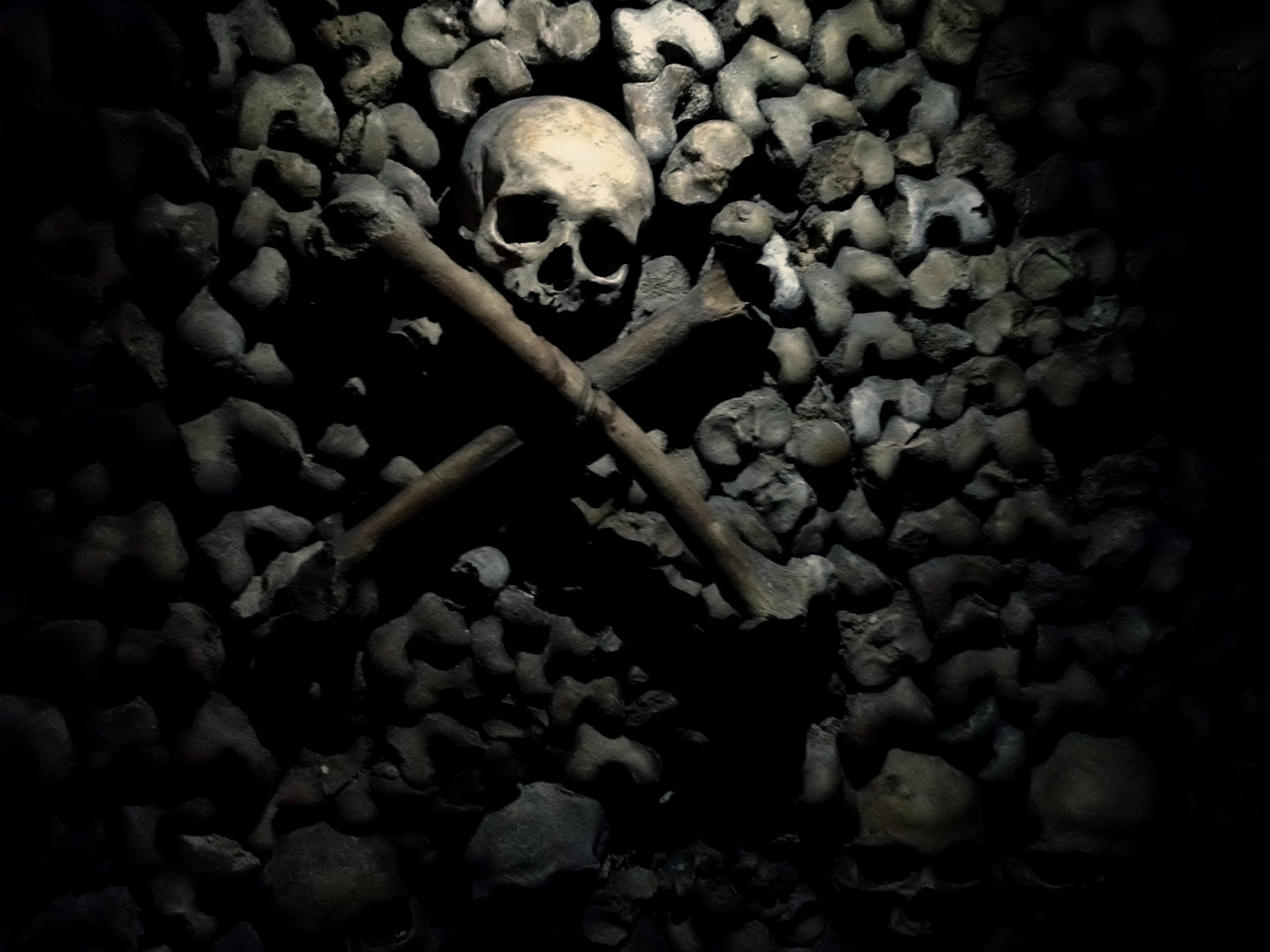 a skull with two crossed bones lies on a bed of skulls