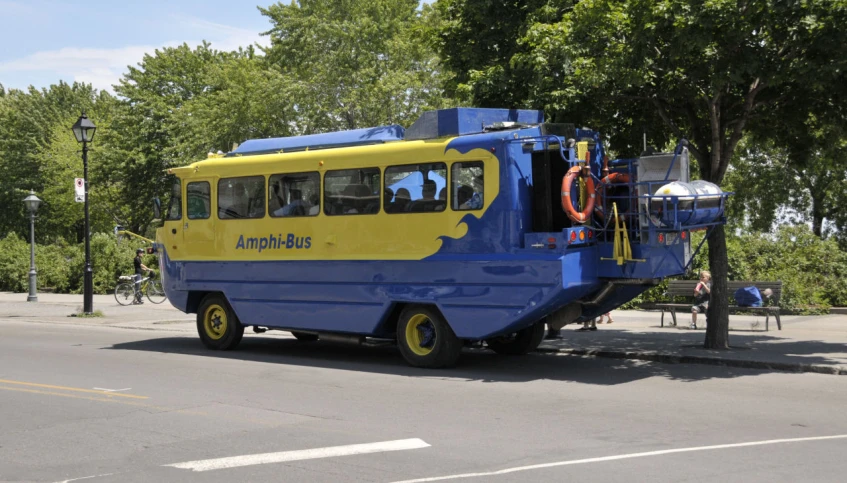 a bus with an artistic design on the back of it