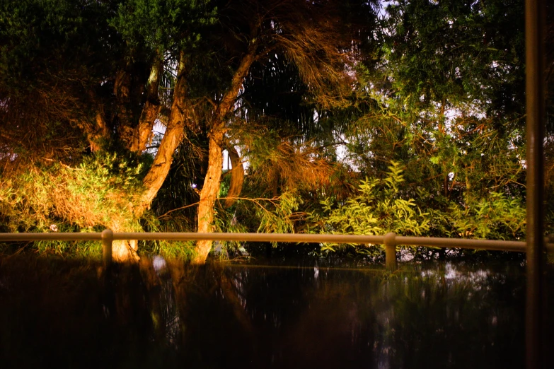 an outside area with water, trees and sky