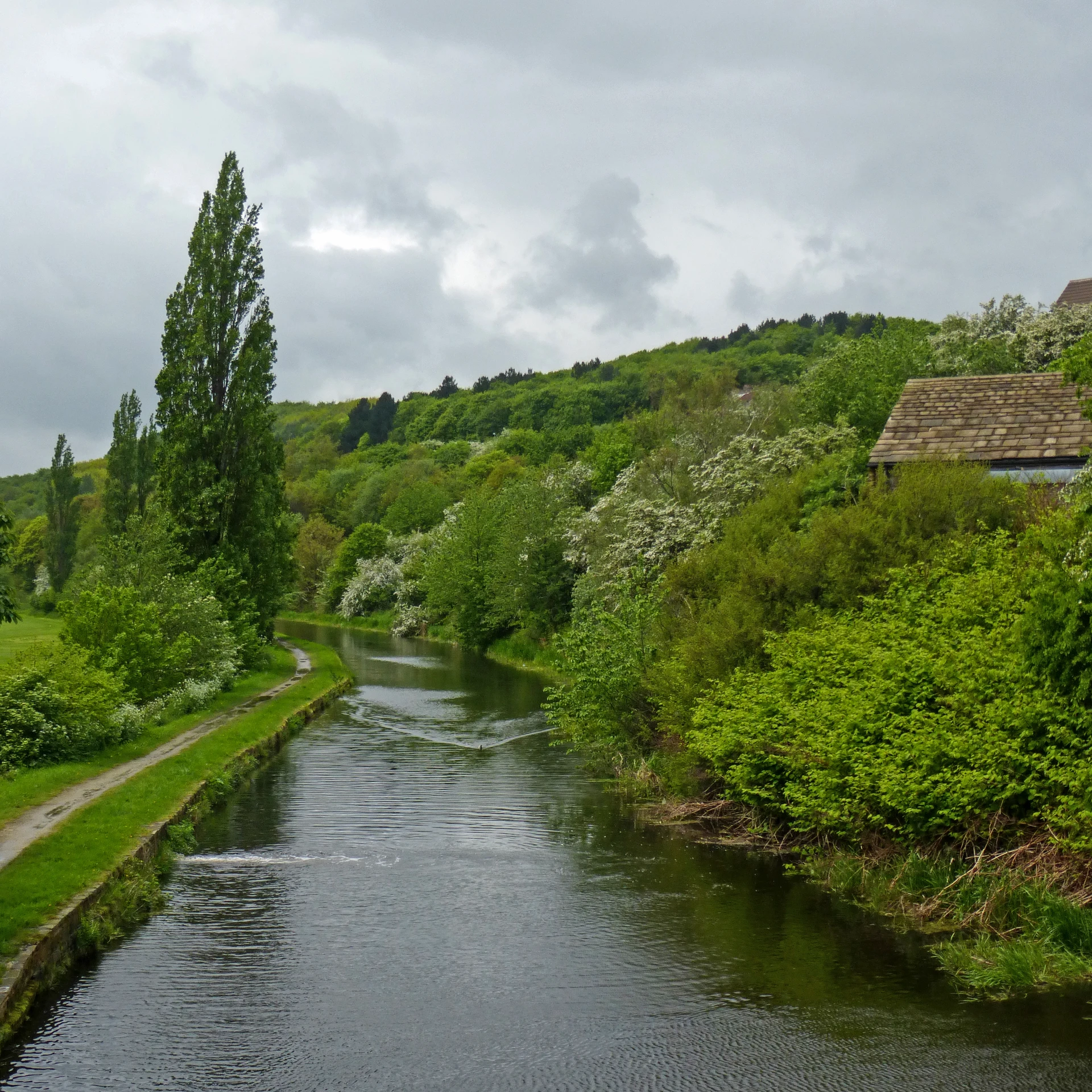 a long narrow river runs between several grassy hills