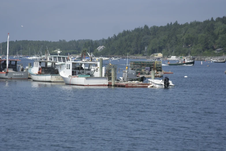 several large boats in the water near trees