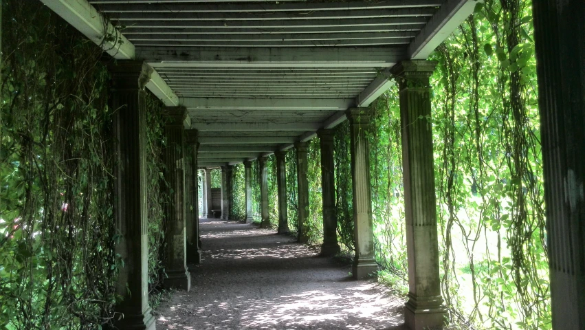 the walkway between two buildings are covered in green foliage