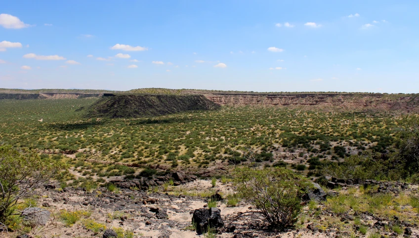 the desert has a lot of green vegetation on it