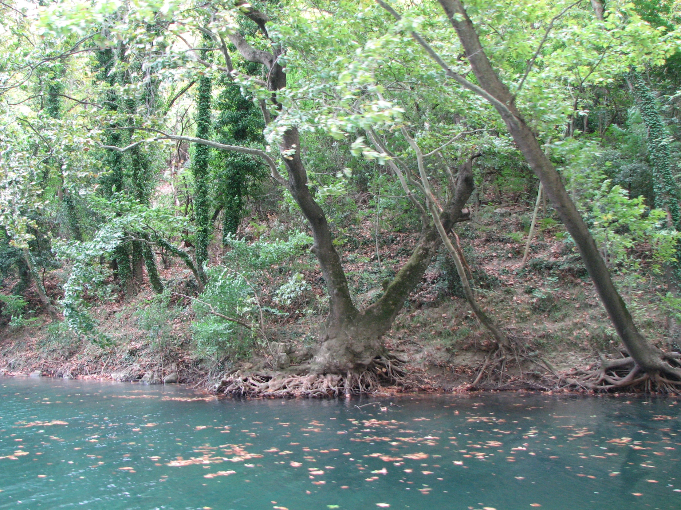 a river with small tree covered banks along it