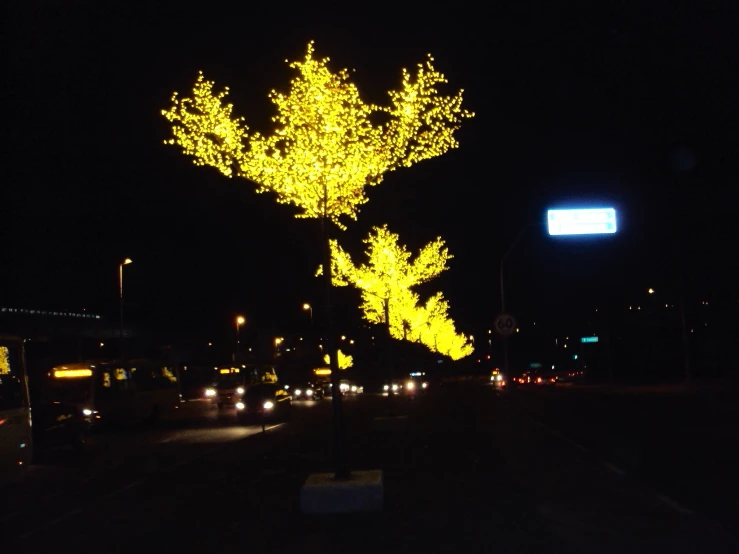 a lit up streetlight and yellow tree next to a street