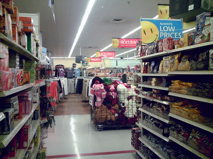 the grocery store with the customers in the aisle