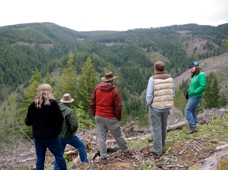 the people are standing near some trees on the hillside