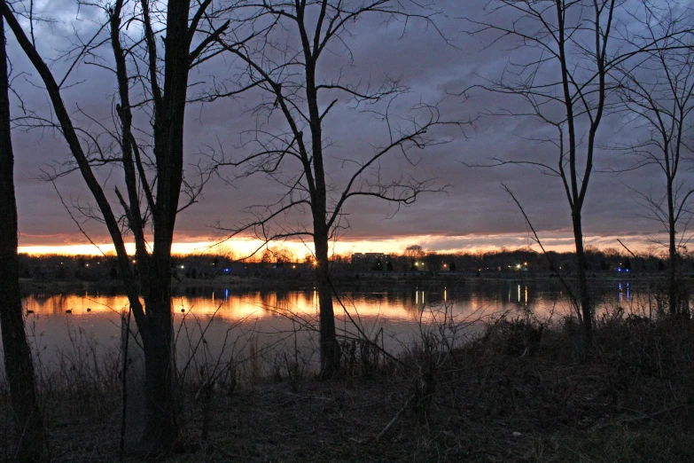 a lake that has some trees by it