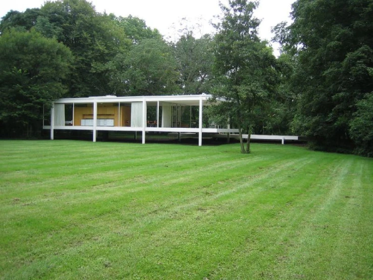 a grassy yard with white buildings and a tree