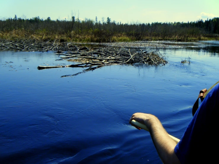 a man standing in a river next to a bunch of fallen trees