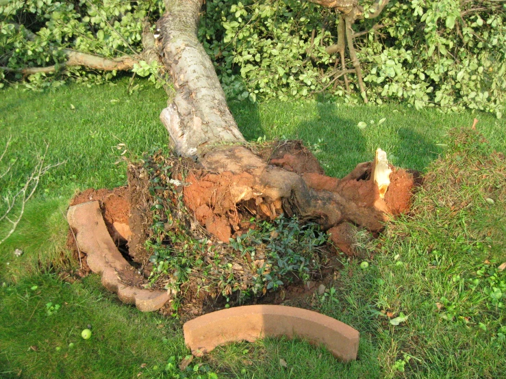 an aerial s of trees on top of a brick bed in a yard