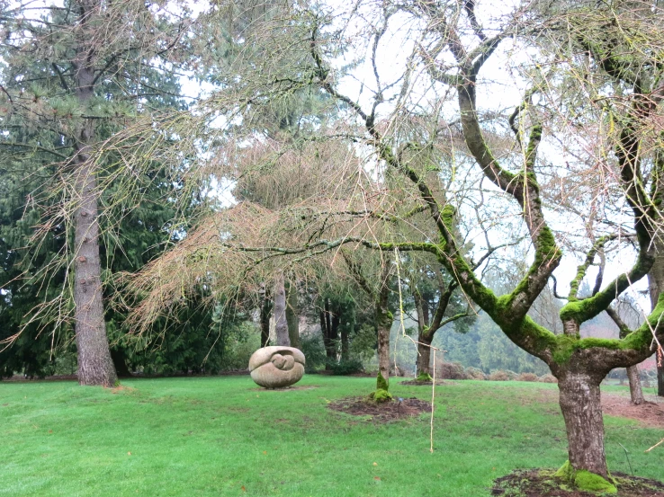 a green area with a tree and two swings in it