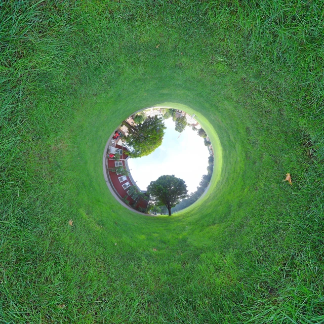 the view from a grassy field into a small circular mirror