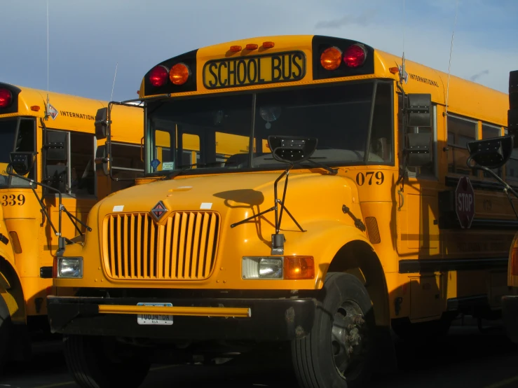 several yellow school buses are lined up in a row