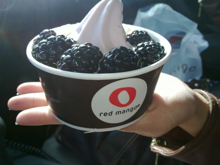 a hand holding up a blackberries dessert