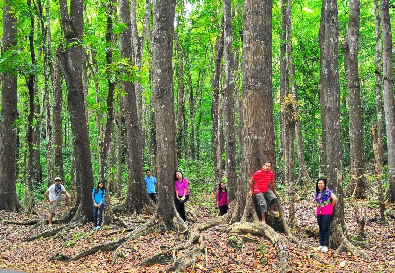 a group of people standing by the trees