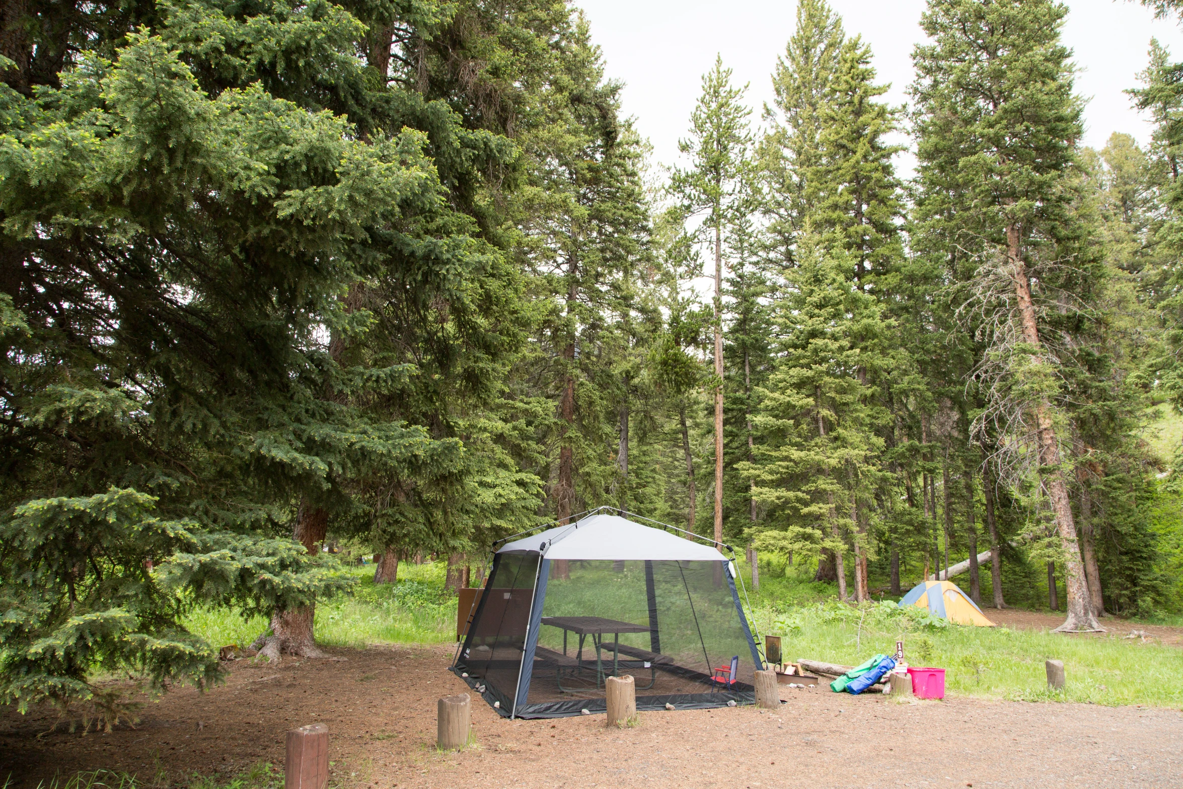 a tent set up in the middle of a forest